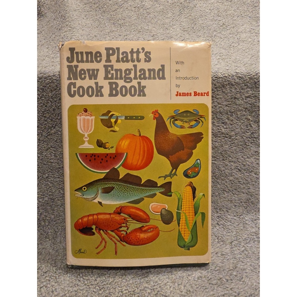 June Platt's New England Cook Book Kitchen Recipes Instructions